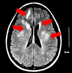 Description of Image 1